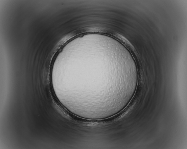 X0000083590938200703021841