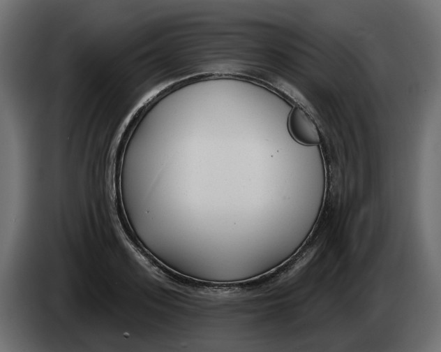 X0000083590939200703021841