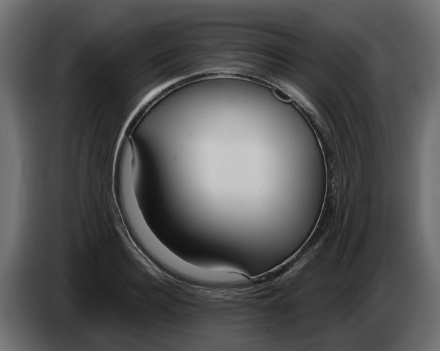 X0000083590940200703021841