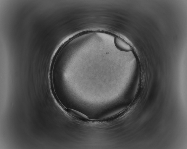 X0000083590943200703021841