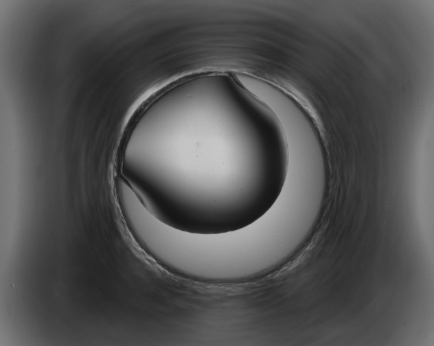 X0000083590944200703021841