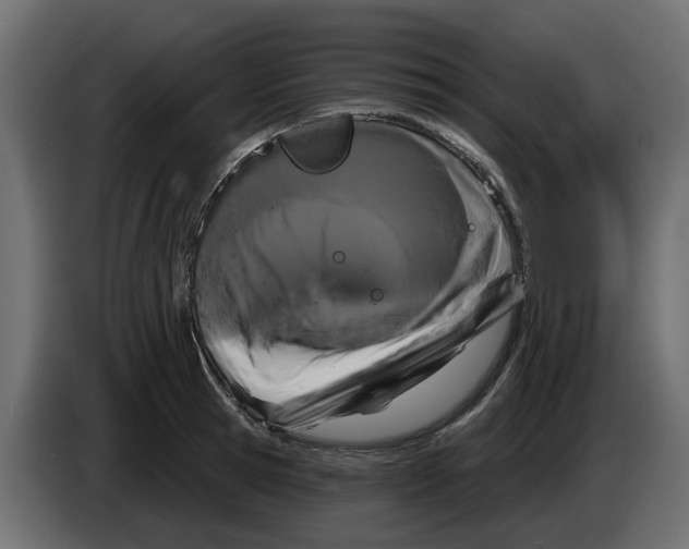 X0000083590945200703021841