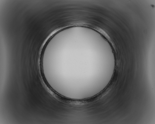 X0000083590947200703021841