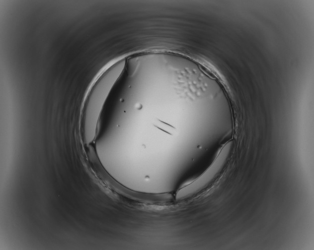 X0000083590948200703021841