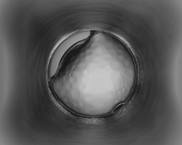 X0000083590949200703021841