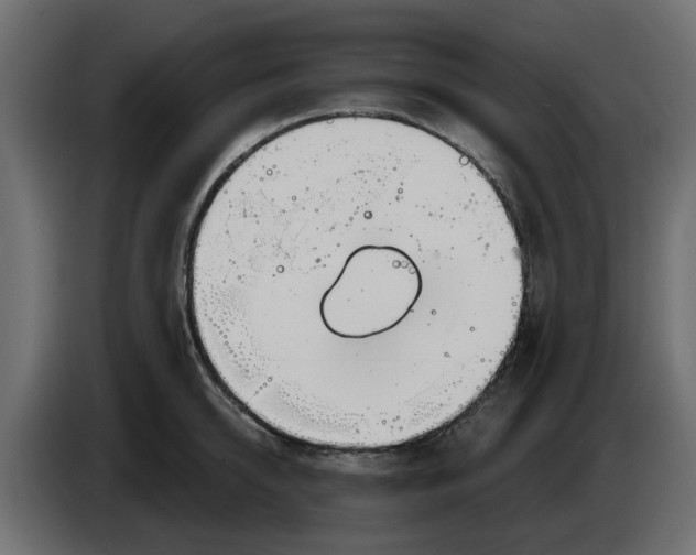 X0000083590950200703021841
