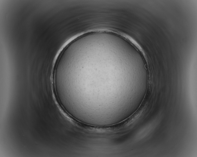X0000083590951200703021841