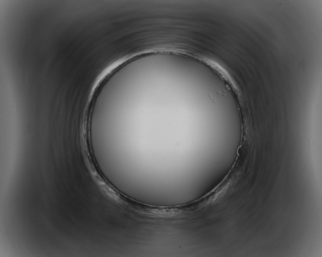 X0000083590952200703021841