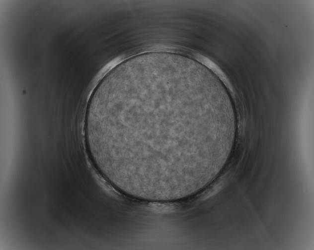 X0000083590954200703021841