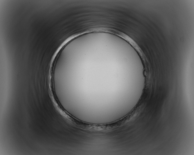 X0000083590955200703021841