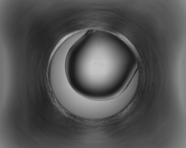 X0000083590956200703021841