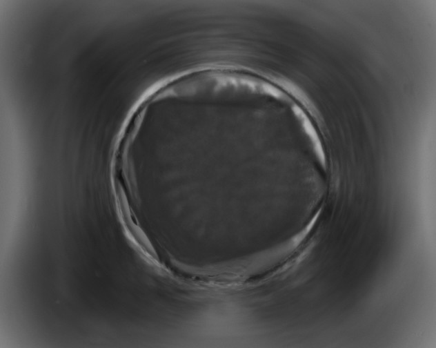 X0000083590958200703021841