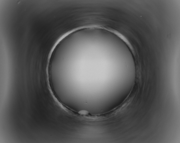 X0000083590959200703021841