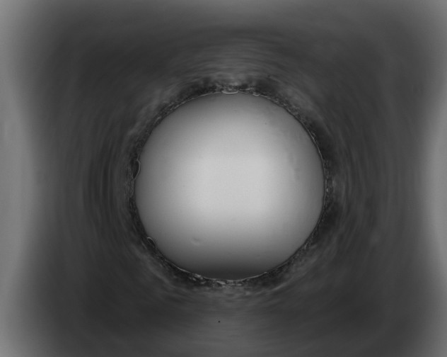 X0000083590961200703021840