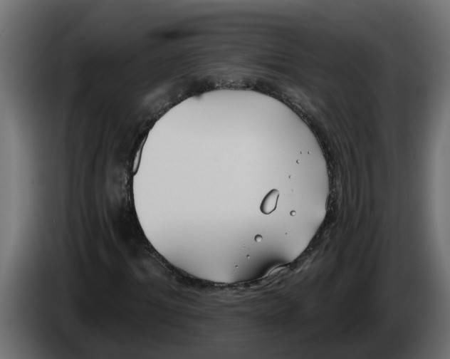 X0000083590964200703021840