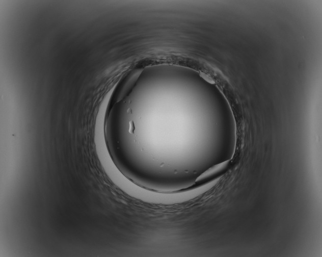 X0000083590965200703021840