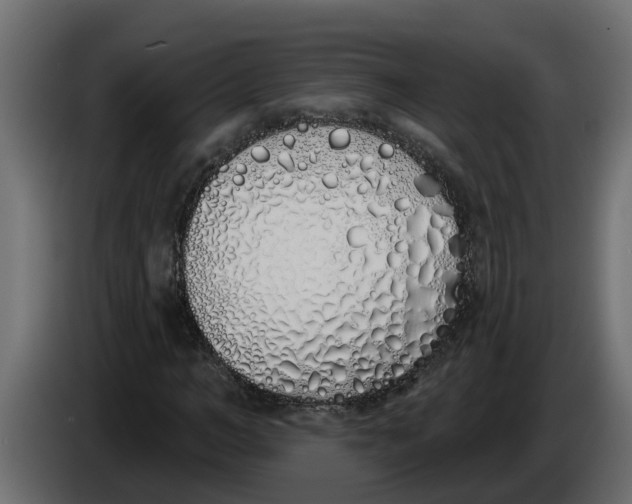 X0000083590966200703021840
