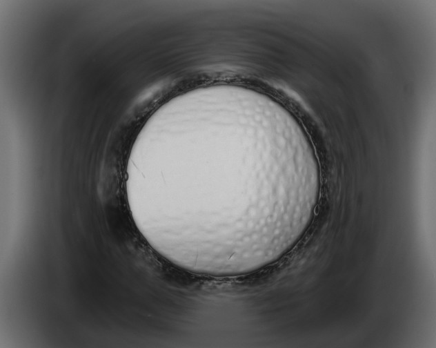 X0000083590967200703021840
