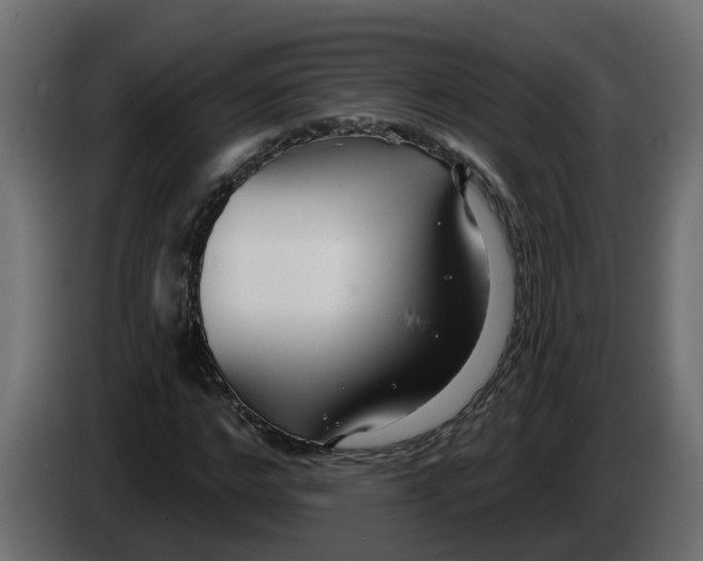 X0000083590968200703021840