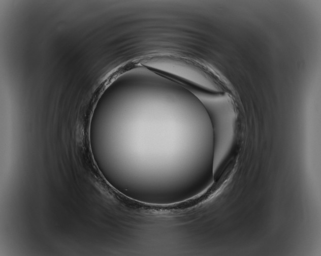 X0000083590969200703021840