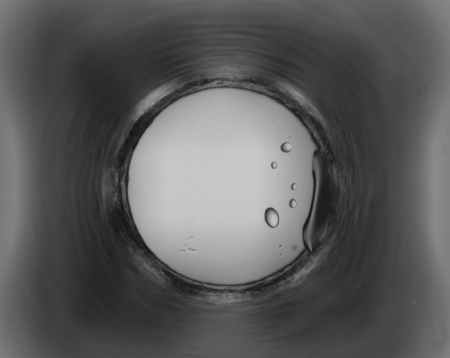 X0000083590970200703021840