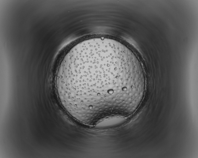 X0000083590971200703021840