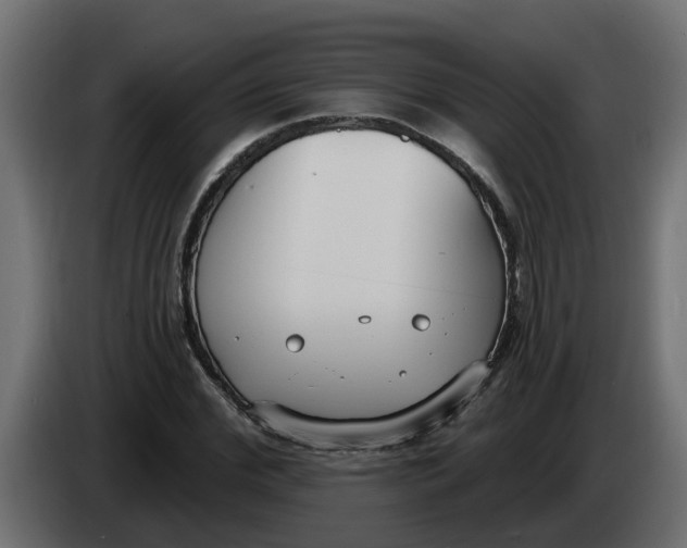 X0000083590972200703021840