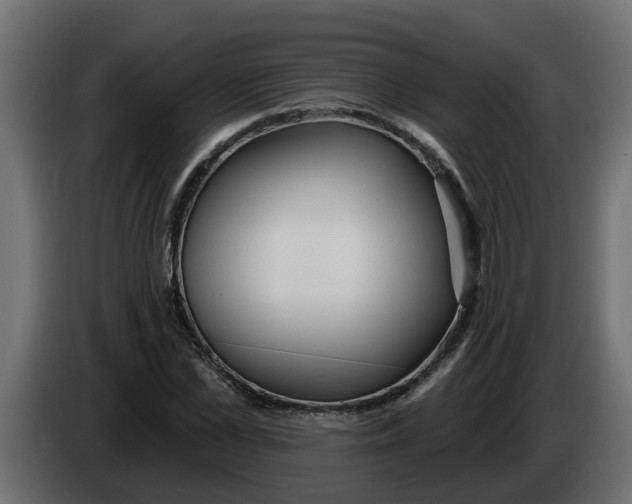 X0000083590973200703021840