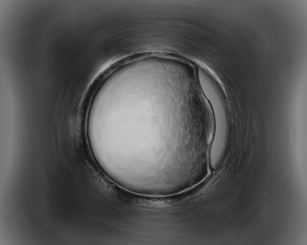 X0000083590975200703021840