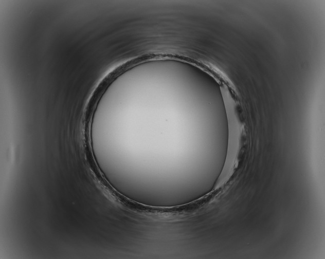 X0000083590976200703021840