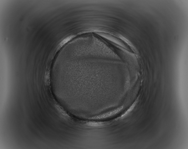 X0000083590977200703021840