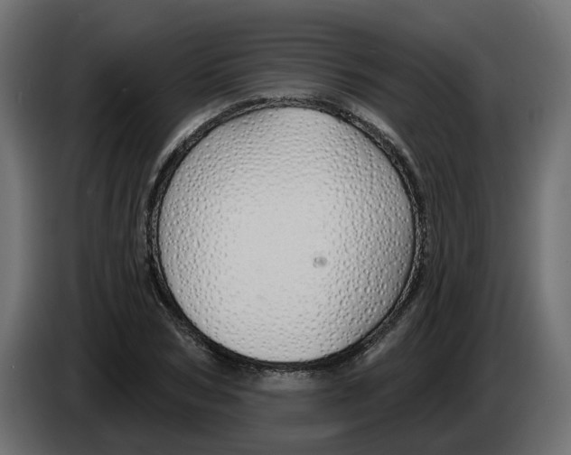 X0000083590978200703021840