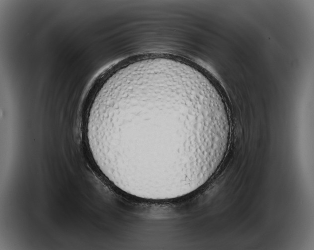 X0000083590979200703021840