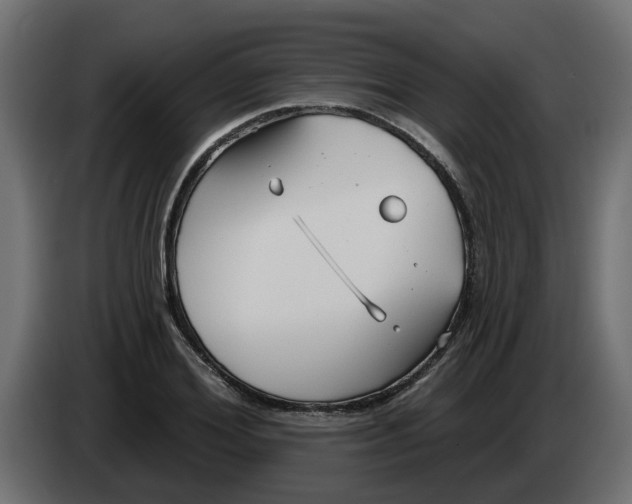 X0000083590980200703021840