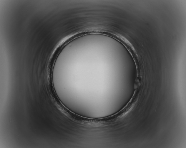 X0000083590981200703021840