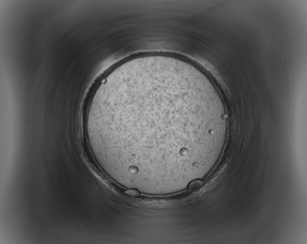 X0000083590982200703021840