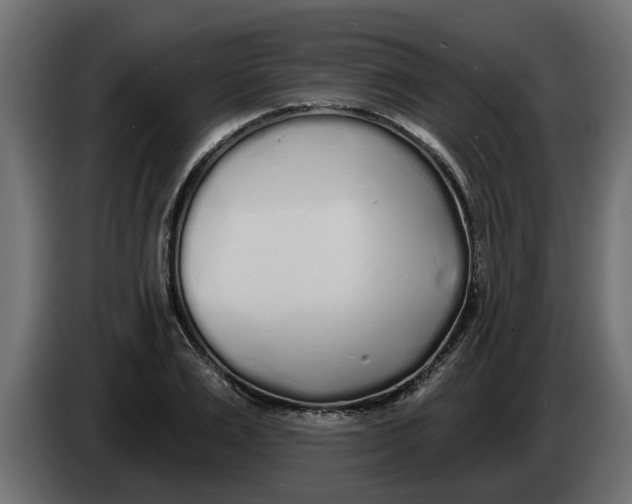 X0000083590983200703021840