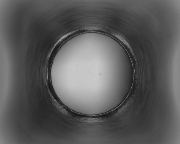 X0000083590984200703021840