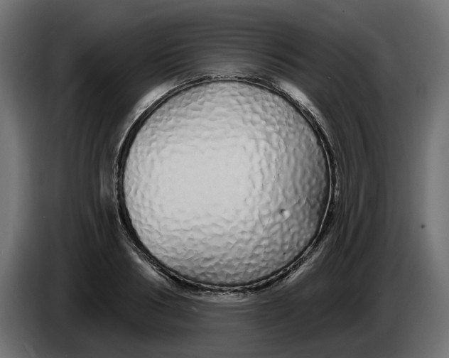 X0000083590986200703021840
