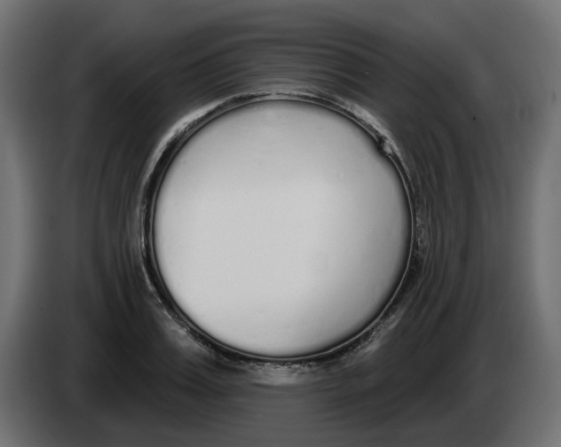 X0000083590987200703021840