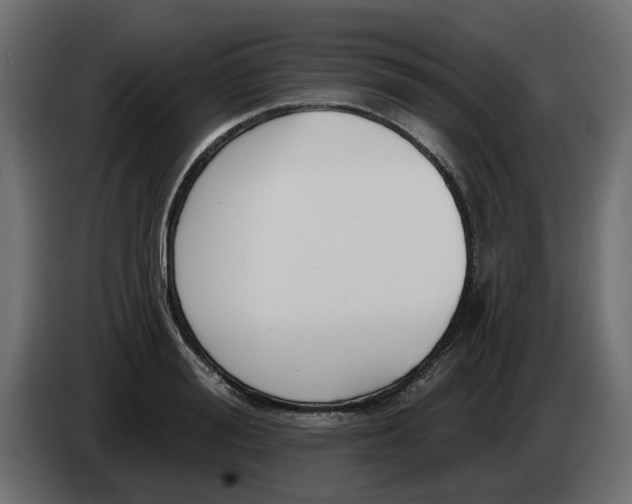 X0000083590988200703021840