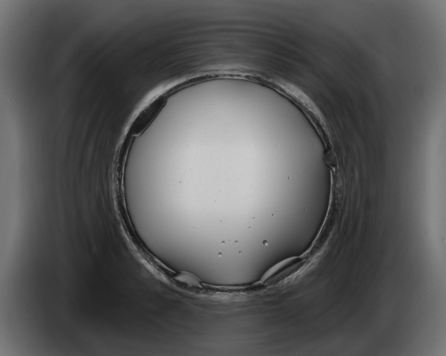 X0000083590989200703021840