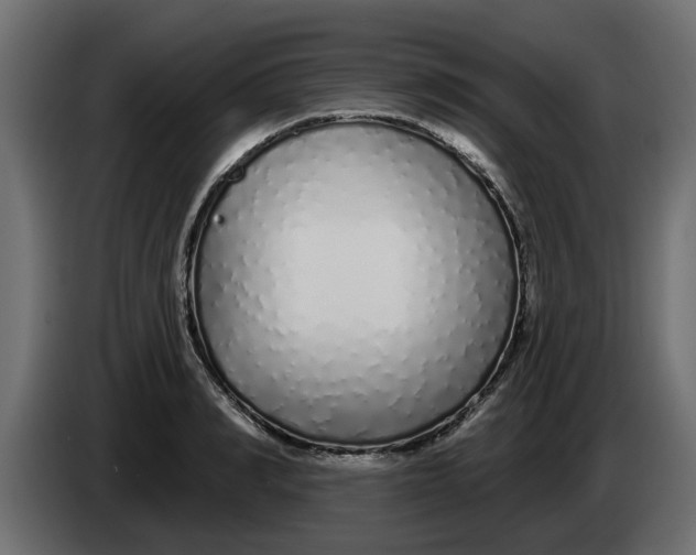X0000083590990200703021840