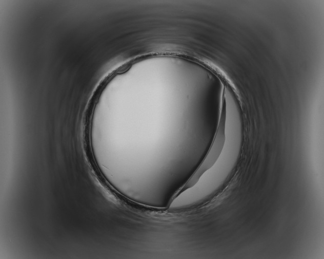 X0000083590991200703021840
