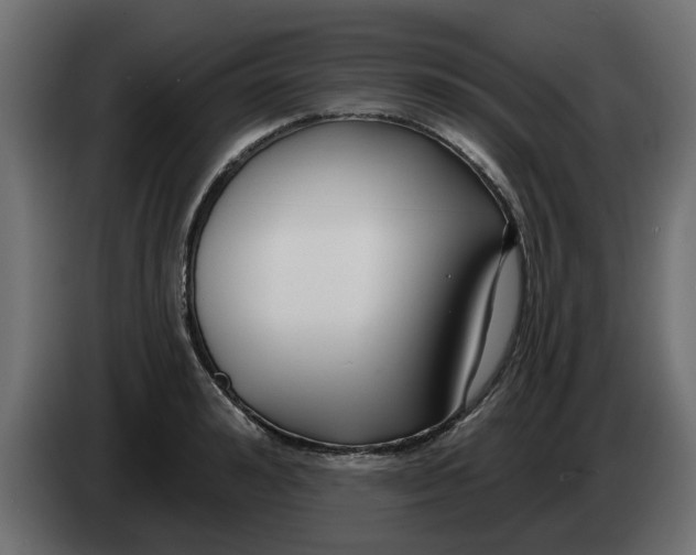 X0000083590992200703021840