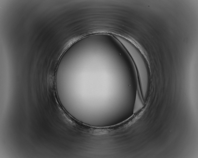 X0000083590993200703021840