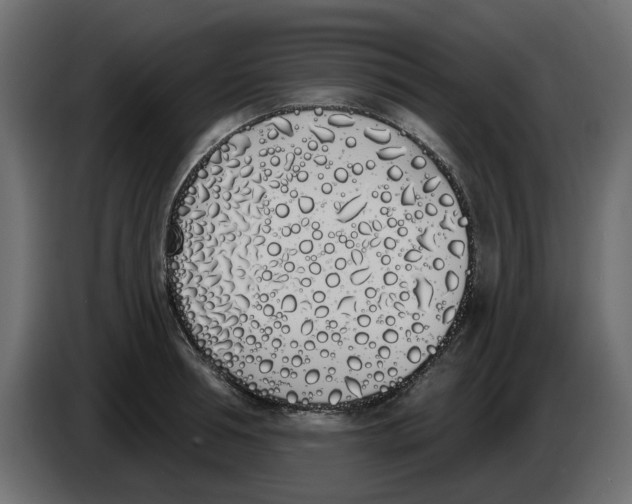 X0000083590994200703021840