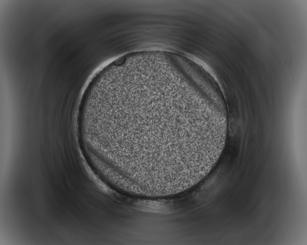 X0000083590995200703021840