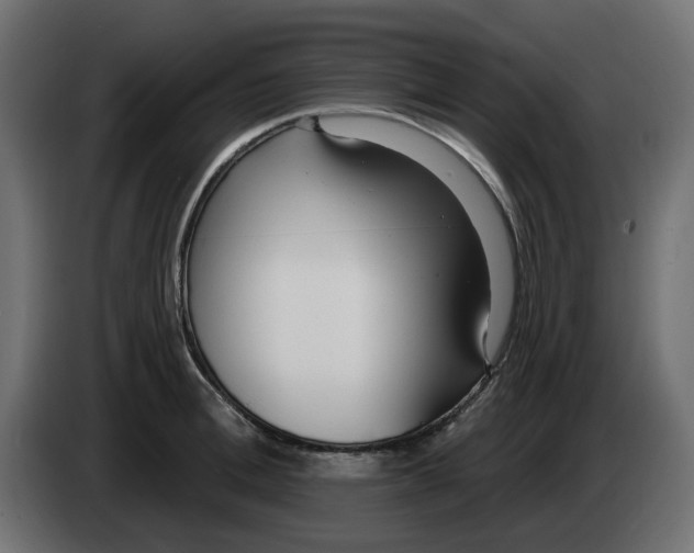 X0000083590996200703021840