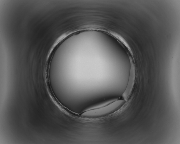 X0000083590997200703021840